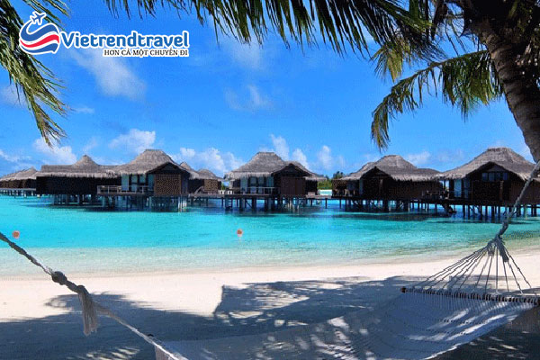 dao-maafushi-maldives-vietrend-travel
