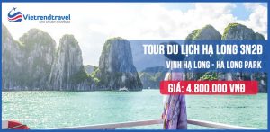 tour-du-lich-ha-long-3n2d-vietrend-travel2